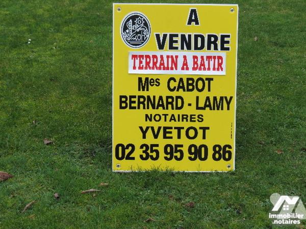 VALLIQUERVILLE, vente de 3 terrains à bâtir d'une surface d'~838m², 878m² et 911m². Viabilisés.