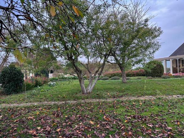 Maison de plain pied sur sous sol complet 3 chambres - SAINT GEORGES SUR LAYON