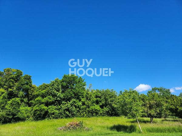 terrain Villenauxe la grande