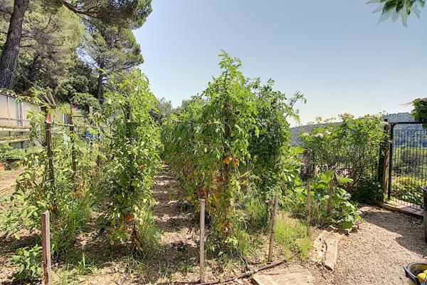 A VENDRE EN EXCLUSIVITÉ AMPUS VIAGER LIBRE : Maison avec vue PANORAMIQUE