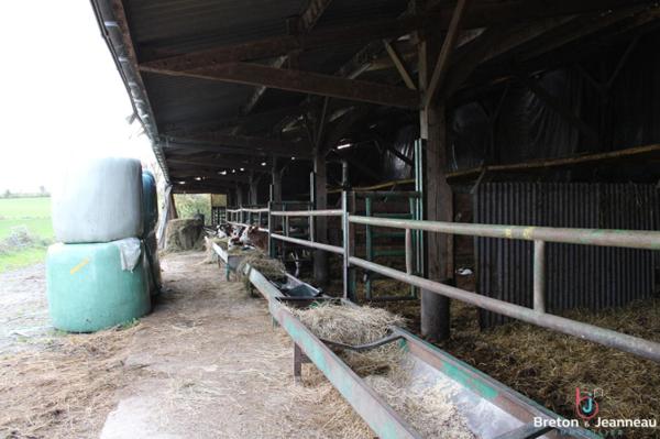 Exploitation BIO sur 65 ha tout attenant secteur Courcité