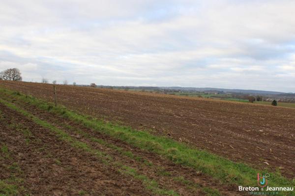 Exploitation BIO sur 65 ha tout attenant secteur Courcité