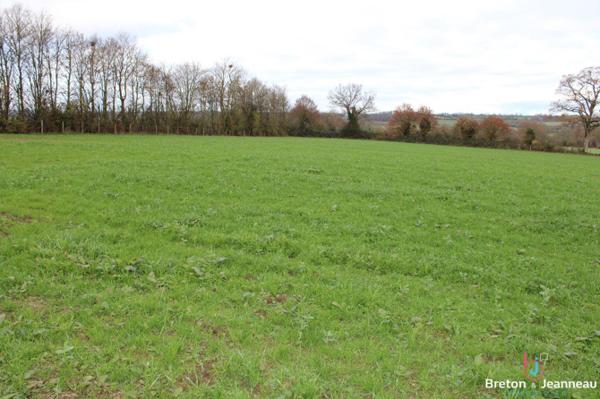 Exploitation BIO sur 65 ha tout attenant secteur Courcité