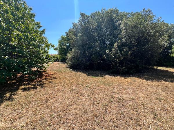 Terrain Longeville Sur Mer 457 m2