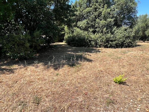 Terrain Longeville Sur Mer 457 m2