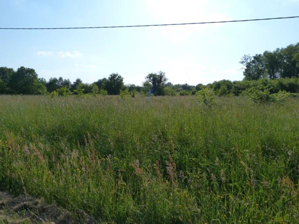 Vente Terrain 1900 m2 à Vierzon