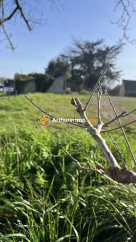 Vente Terrain 693 m2 à Pont-Aven