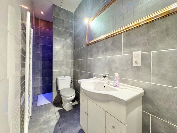 Maison - Loft avec son logement indépendant + 2 garages + jardin