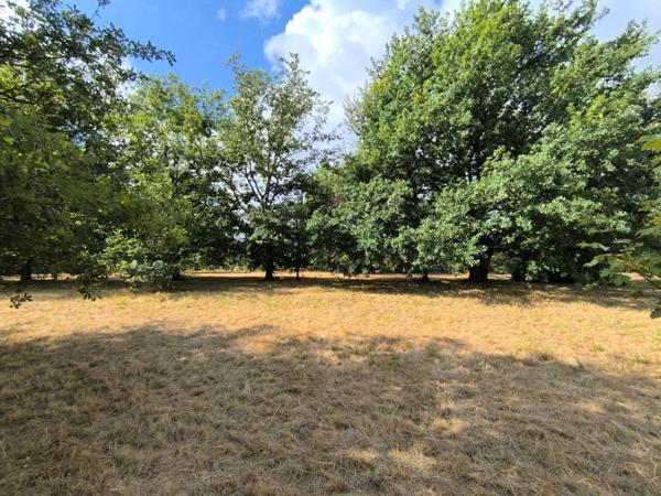 TERRAIN DE 1583m2 SUR LES HAUTEURS DE VERGT