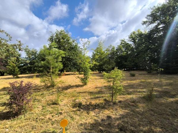 TERRAIN DE 1583m2 SUR LES HAUTEURS DE VERGT