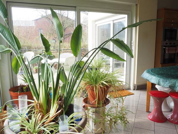 Vente Maison 6 pièces 129 m2 à Saint-Saulve