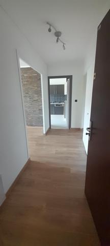 charmant t3 refait à neuf avenue de vessy