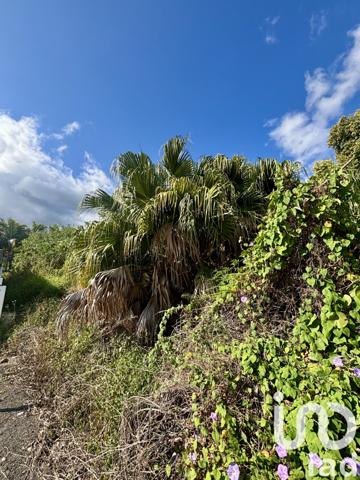 Terrain à vendre 1 078 m² Entre-Deux