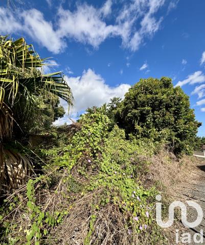 Terrain à vendre 1 078 m² Entre-Deux