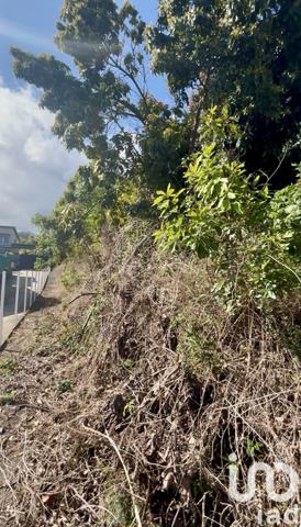 Terrain à vendre 1 078 m² Entre-Deux