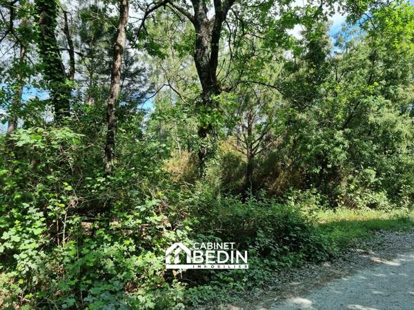 Vente Terrain Audenge