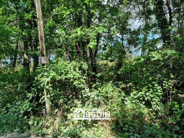 Vente Terrain Audenge