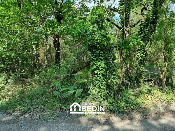 Vente Terrain Audenge