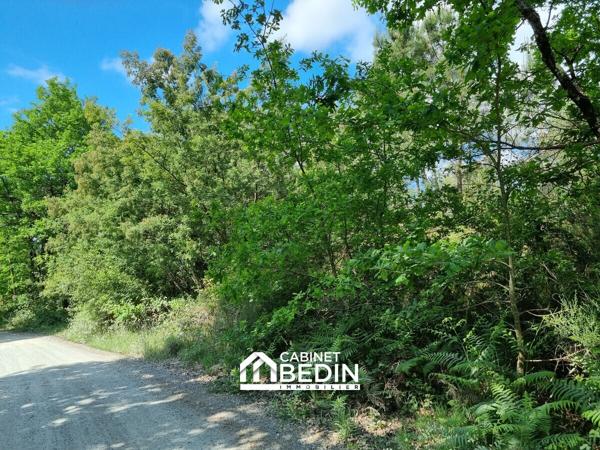Vente Terrain Audenge