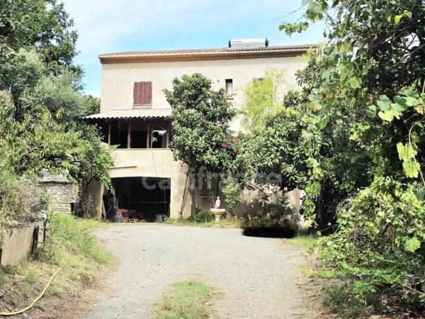 💼 BORGO– Investissement à fort potentiel : 393 m² habitables + terrain 2 980 m² | Prix : 450 000 € (≈ 1 145 €/m²) 📊