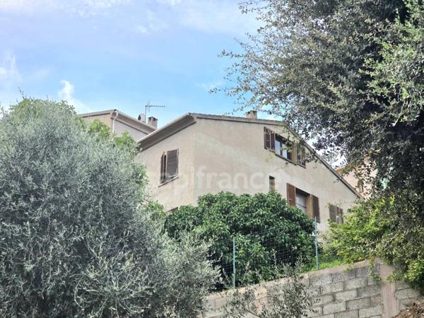 💼 BORGO– Investissement à fort potentiel : 393 m² habitables + terrain 2 980 m² | Prix : 450 000 € (≈ 1 145 €/m²) 📊