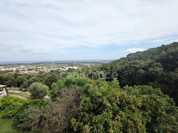💼 BORGO– Investissement à fort potentiel : 393 m² habitables + terrain 2 980 m² | Prix : 450 000 € (≈ 1 145 €/m²) 📊
