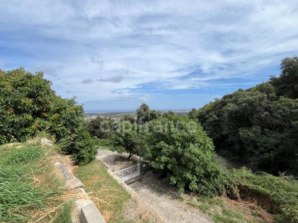 💼 BORGO– Investissement à fort potentiel : 393 m² habitables + terrain 2 980 m² | Prix : 450 000 € (≈ 1 145 €/m²) 📊