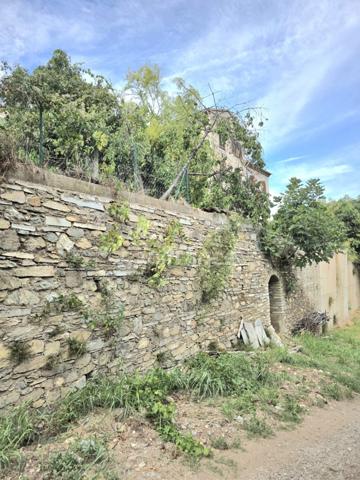 💼 BORGO– Investissement à fort potentiel : 393 m² habitables + terrain 2 980 m² | Prix : 450 000 € (≈ 1 145 €/m²) 📊