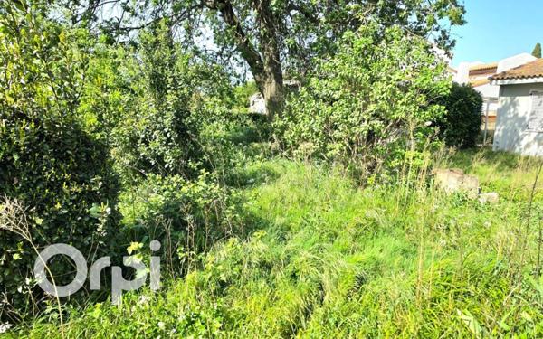 Terrain à vendre    Saint-Martin-de-Crau