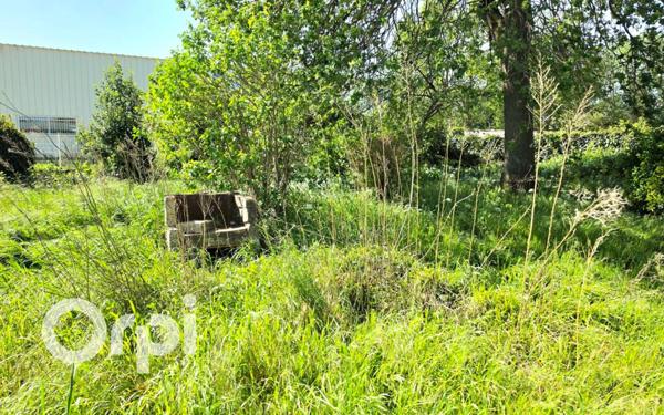 Terrain à vendre    Saint-Martin-de-Crau