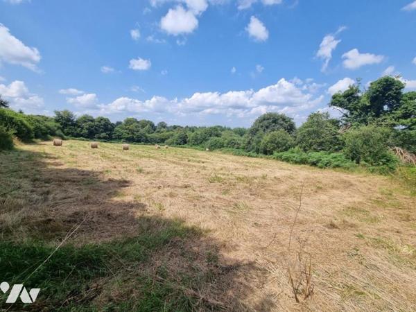 Vente terres agricoles Plouray
