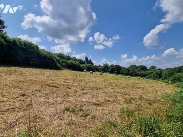 Vente terres agricoles Plouray