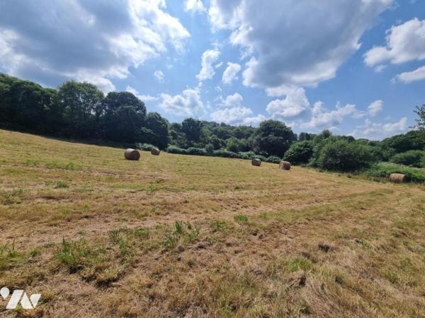 Vente terres agricoles Plouray