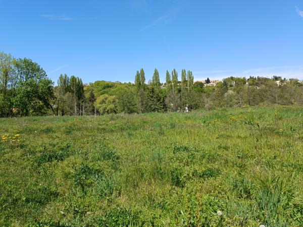 Terrain - 2405 m²