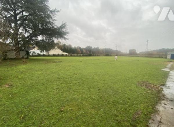 Terrain à bâtir viabilisable de 3127 m² cadastré CL n°11 situé Rue Paulin Labarre à OLIVET