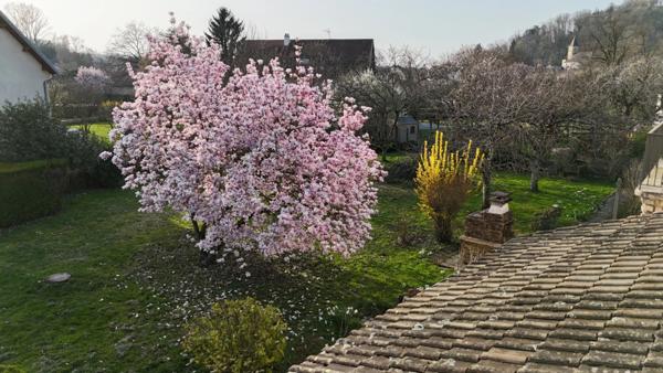 Rare sur le secteur – Maison familiale avec grand terrain aux portes de Lons-le-Saunier (39)