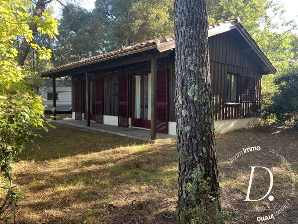 Authentique Bergerie Landaise