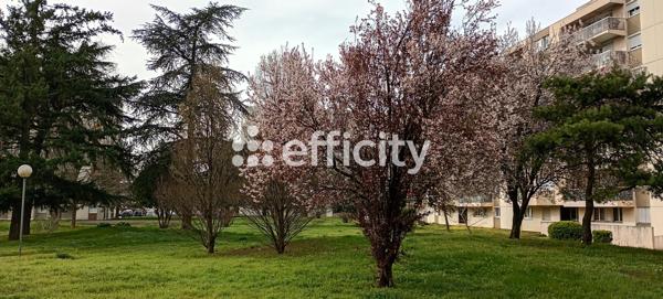 Appartement 2 pièces - 51 m² Exclusivité efficity