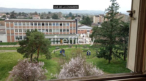 Appartement 2 pièces - 51 m² Exclusivité efficity