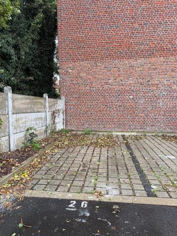 Nouveauté LILLE – Jardin des Plantes - Exclusivité