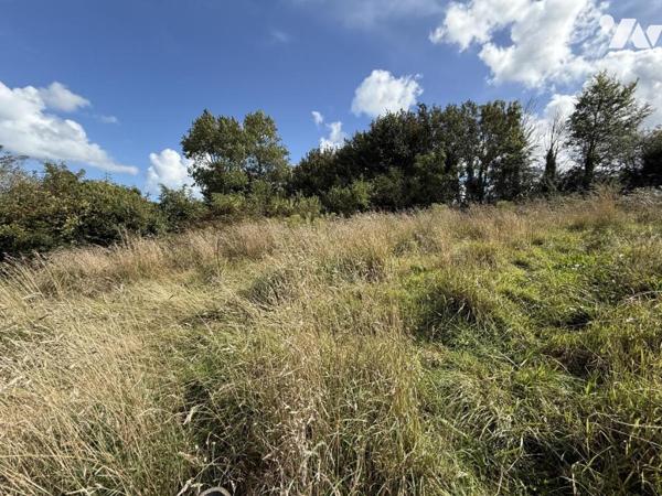 MAISON URVILLE-NACQUEVILLE