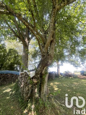 Maison à vendre 7 pièces 208 m² Saint-Valérien