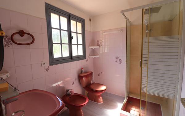 Maison à vendre    5 pièces •  Blausasc