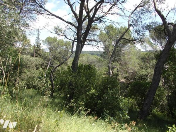 Terrain constructible 1 313 m² très bon quartier avec vue