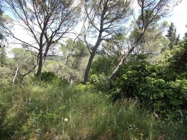 Terrain constructible 1 313 m² très bon quartier avec vue