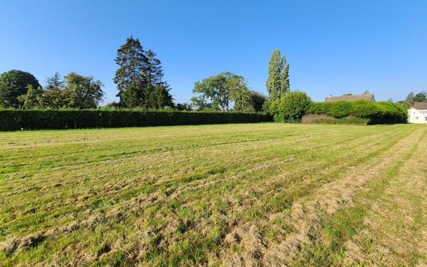 Terrain à vendre    Panilleuse