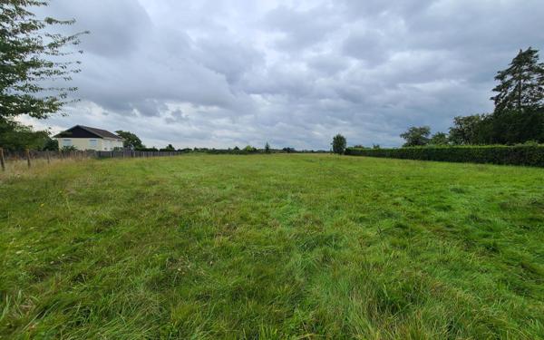 Terrain à vendre    Panilleuse