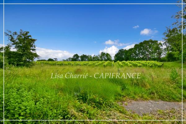 Maison à vendre 3 pièces à 8 minutes  de NOGARO (32) de 95 m2 habitables sur 6714 m2 de terrain