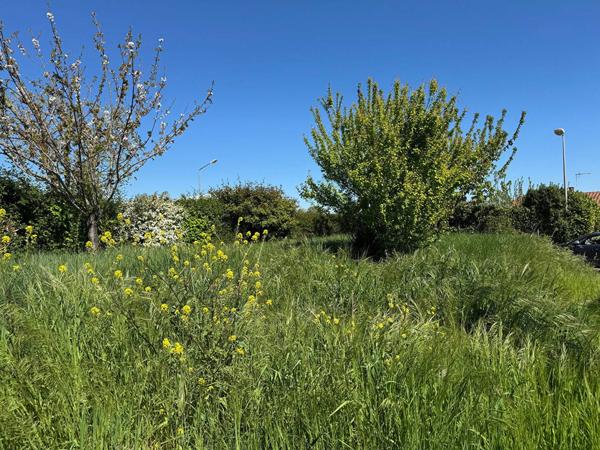 TERRAIN à VAUX SUR MER