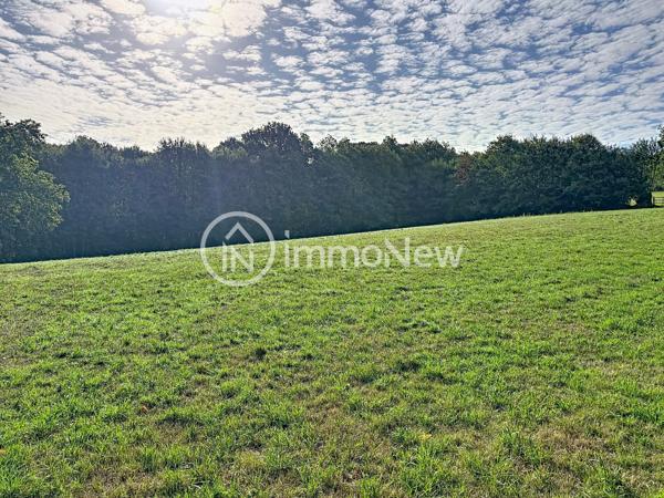 GRANGE A RENOVER 100 M2 EN LISIERE DE FORET VUE EXCEPTIONNELLE SUR 4 HECTARES ENVIRON